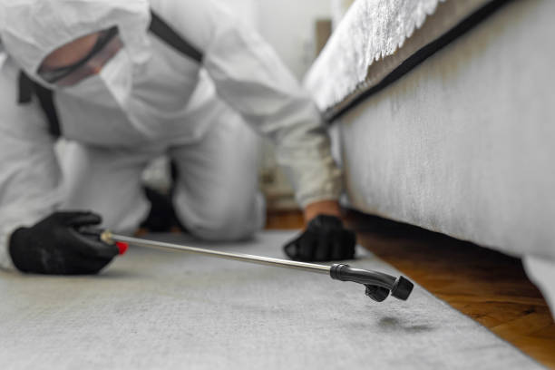 Professional Cockroach Control technician working in Sky Lake, FL